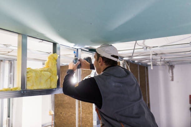 Best Batt and Roll Insulation  in USA